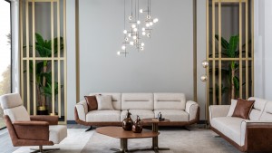 Orion Koltuk Takımı