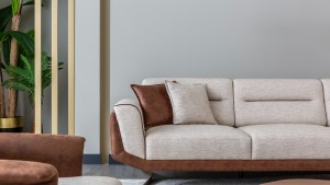 Orion Koltuk Takımı